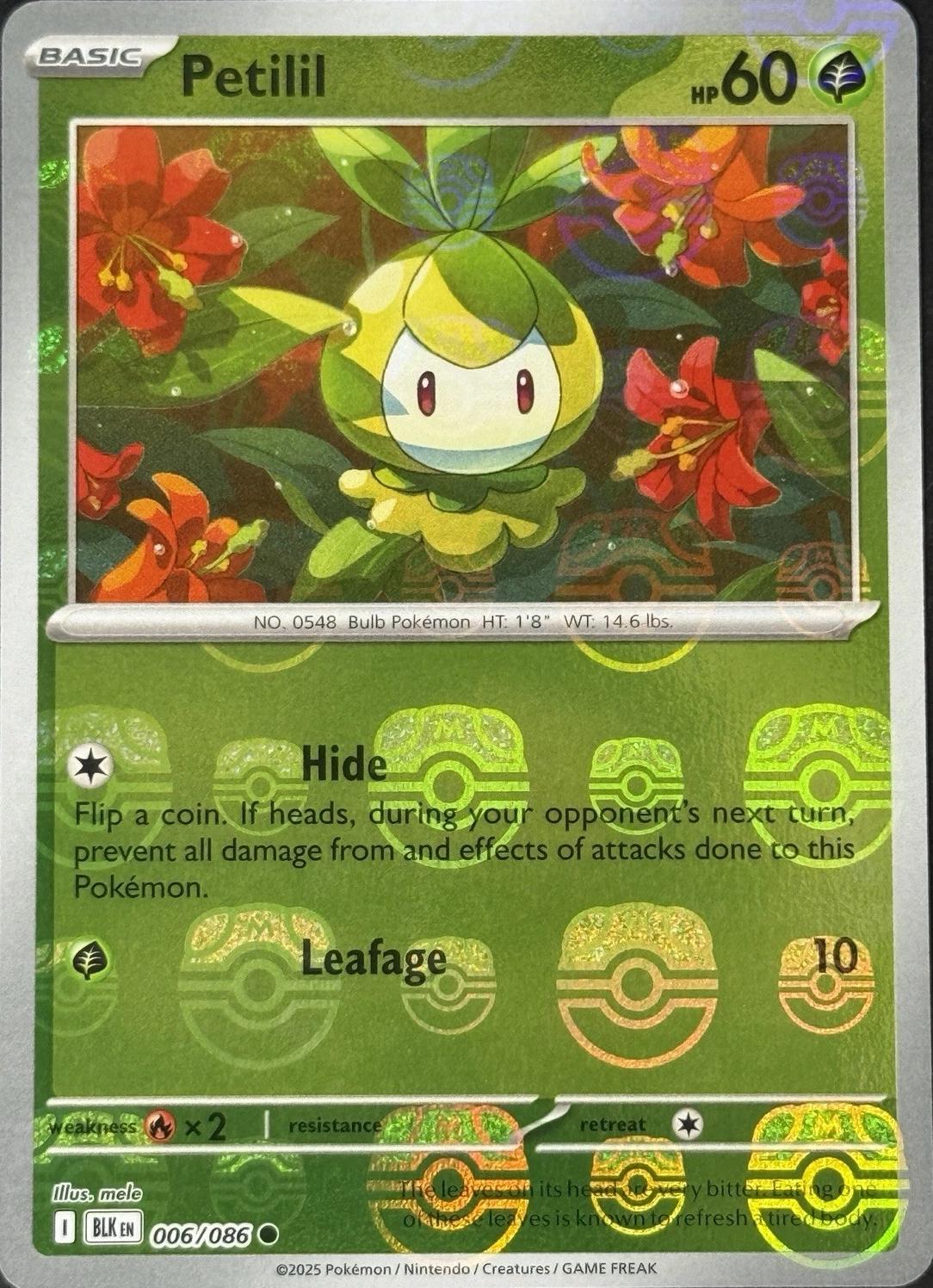Black Bolt Petilil [Master-Ball] Pokémon card